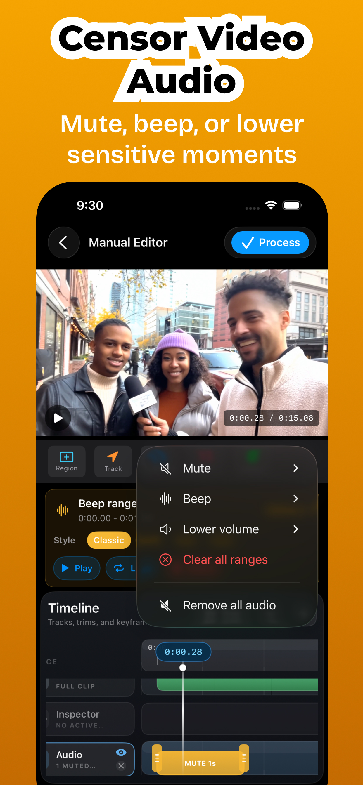 Audio censor tool for muting, beeping, or lowering sensitive audio ranges
